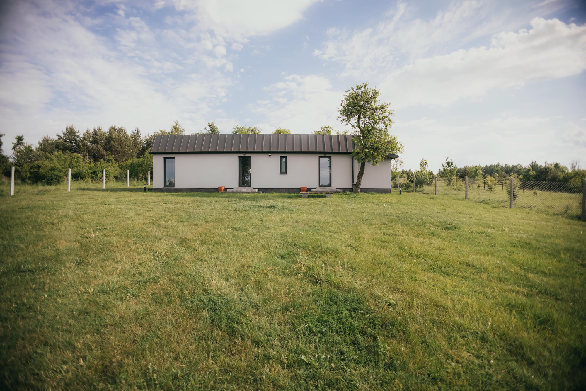 Biały parterowy dom z ciemnym metalowym dachem stoi na szerokim zielonym polu, po prawej drzewo i ogrodzenie w tle